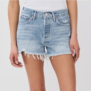 NWT AGOLDE Parker Vintage Cutoff Shorts in Swapmeet Wash
